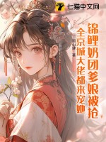 十二小姐个人简介